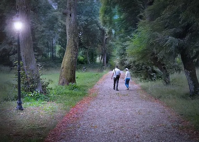 Grodek Nad Bugiem * Jablonna (Sokolow)